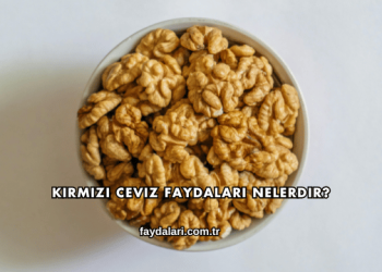 Kırmızı Ceviz Faydaları Nelerdir?