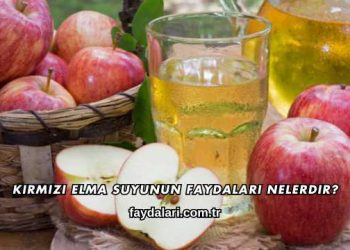 Kırmızı Elma Suyunun Faydaları Nelerdir?
