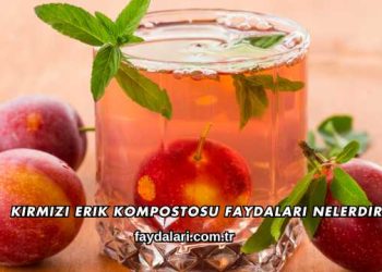 Kırmızı Erik Kompostosu Faydaları Nelerdir?