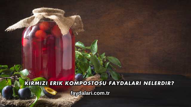 Kırmızı Erik Kompostosu Faydaları Nelerdir?