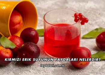 Kırmızı Erik Suyunun Faydaları Nelerdir?