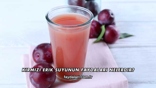 Kırmızı Erik Suyunun Faydaları Nelerdir?