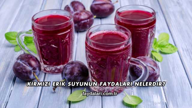 Kırmızı Erik Suyunun Faydaları Nelerdir?