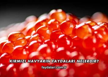 Kırmızı Havyarın Faydaları Nelerdir?