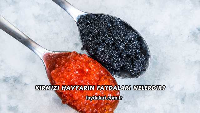 Kırmızı Havyarın Faydaları Nelerdir?