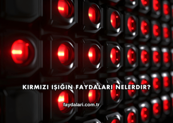 Kırmızı Işığın Faydaları Nelerdir?