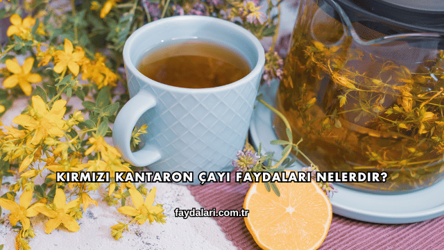 Kırmızı Kantaron Çayı Faydaları Nelerdir?