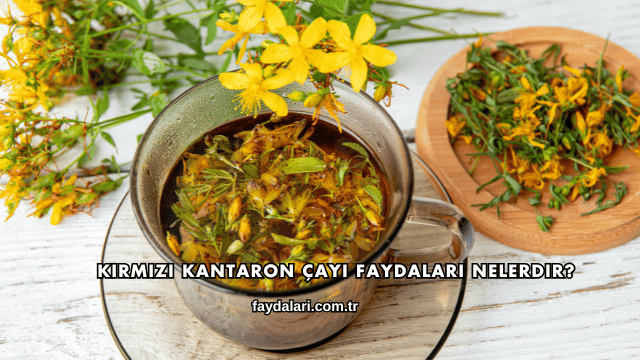 Kırmızı Kantaron Çayı Faydaları Nelerdir?