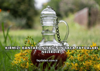 Kırmızı Kantaron Yağının Saça Faydaları Nelerdir?