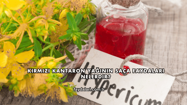Kırmızı Kantaron Yağının Saça Faydaları Nelerdir?