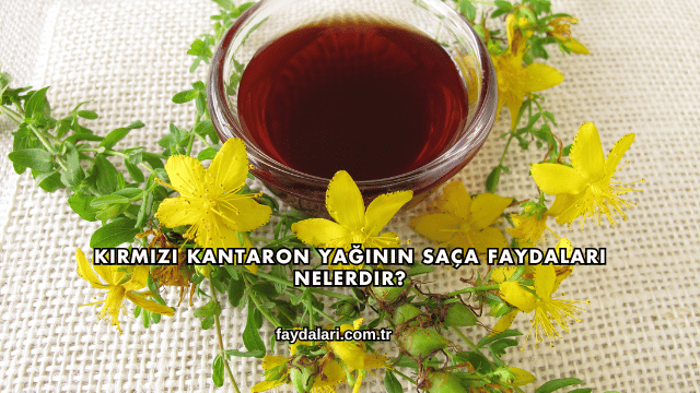 Kırmızı Kantaron Yağının Saça Faydaları Nelerdir?