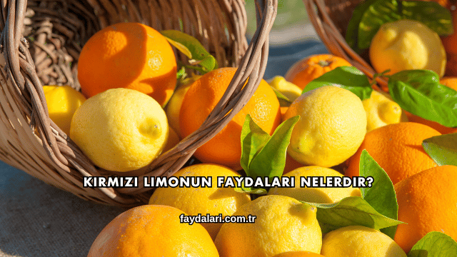 Kırmızı Limonun Faydaları Nelerdir?