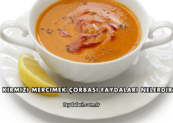 Kırmızı Mercimek Çorbası Faydaları Nelerdir?