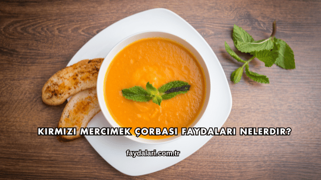 Kırmızı Mercimek Çorbası Faydaları Nelerdir?