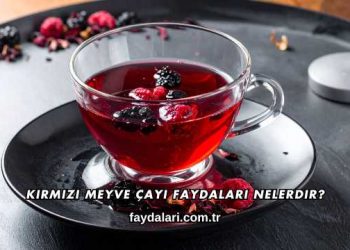 Kırmızı Meyve Çayı Faydaları Nelerdir?