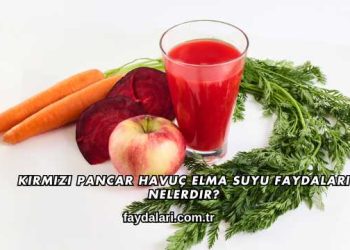Kırmızı Pancar Havuç Elma Suyu Faydaları Nelerdir?