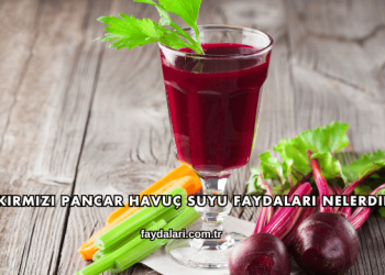 Kırmızı Pancar Havuç Suyu Faydaları Nelerdir?