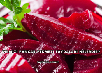 Kırmızı Pancar Pekmezi Faydaları Nelerdir?