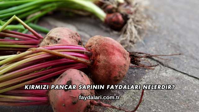 Kırmızı Pancar Sapının Faydaları Nelerdir?