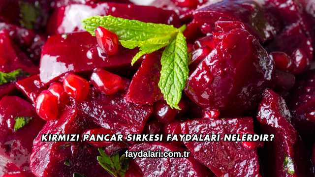 Kırmızı Pancar Sirkesi Faydaları Nelerdir?