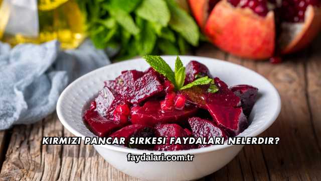 Kırmızı Pancar Sirkesi Faydaları Nelerdir?