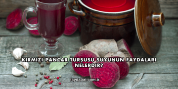 Kırmızı Pancar Turşusu Suyunun Faydaları Nelerdir?