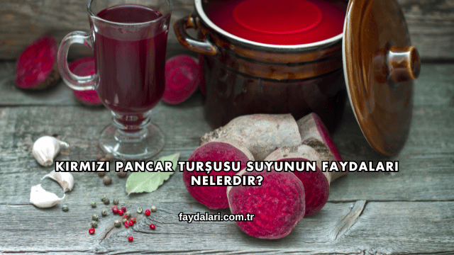 Kırmızı Pancar Turşusu Suyunun Faydaları Nelerdir?