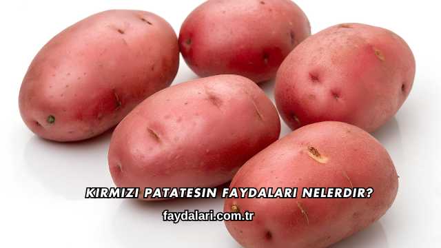 Kırmızı Patatesin Faydaları Nelerdir?