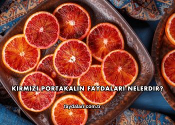 Kırmızı Portakalın Faydaları Nelerdir?