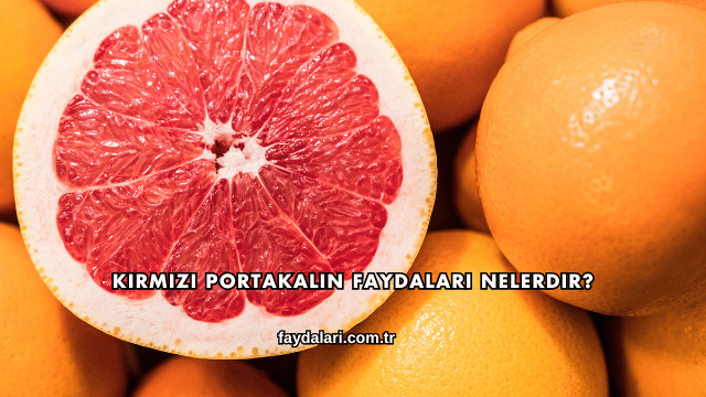 Kırmızı Portakalın Faydaları Nelerdir?