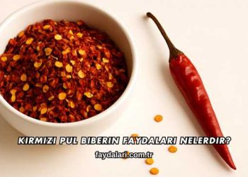 Kırmızı Pul Biberin Faydaları Nelerdir?