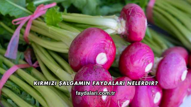 Kırmızı Şalgamın Faydaları Nelerdir?