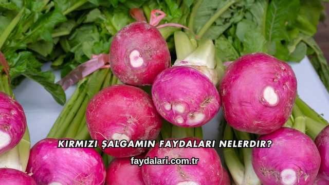 Kırmızı Şalgamın Faydaları Nelerdir?
