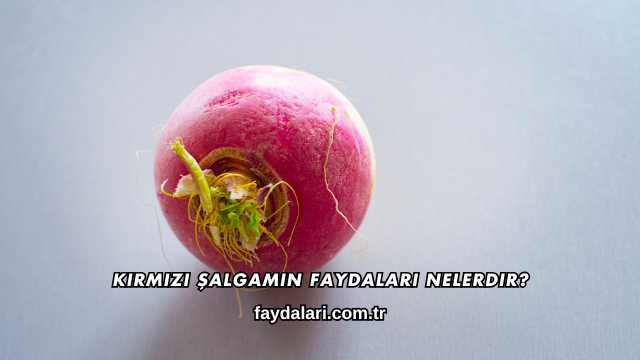 Kırmızı Şalgamın Faydaları Nelerdir?