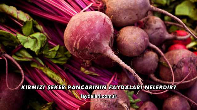 Kırmızı Şeker Pancarının Faydaları Nelerdir?