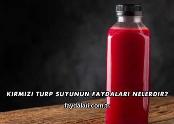 Kırmızı Turp Suyunun Faydaları Nelerdir?