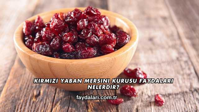 Kırmızı Yaban Mersini Kurusu Faydaları Nelerdir?