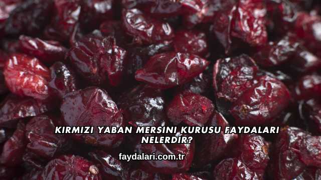 Kırmızı Yaban Mersini Kurusu Faydaları Nelerdir?