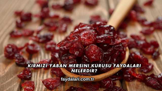 Kırmızı Yaban Mersini Kurusu Faydaları Nelerdir?