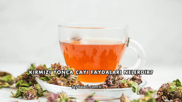 Kırmızı Yonca Çayı Faydaları Nelerdir?
