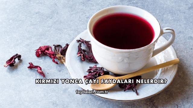 Kırmızı Yonca Çayı Faydaları Nelerdir?