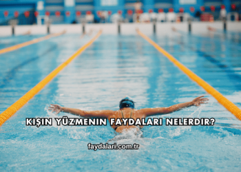 Kışın Yüzmenin Faydaları Nelerdir?
