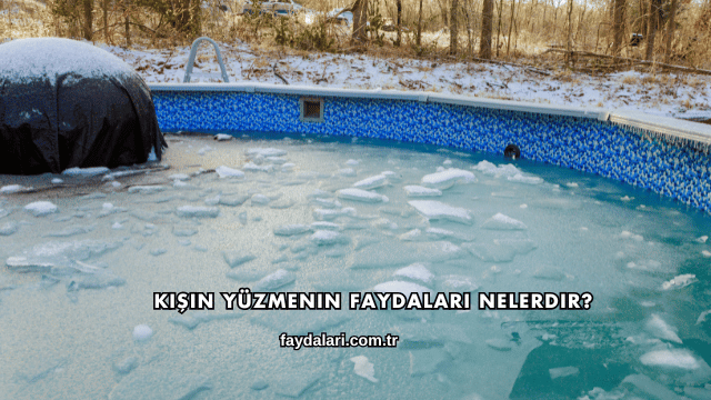 Kışın Yüzmenin Faydaları Nelerdir?