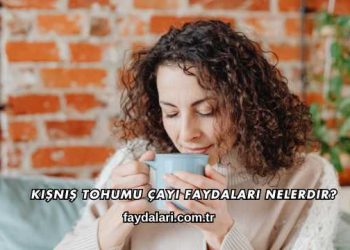 Kişniş Tohumu Çayı Faydaları Nelerdir?