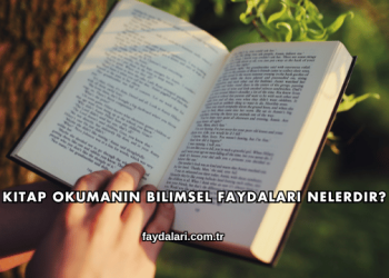Kitap Okumanın Bilimsel Faydaları Nelerdir?