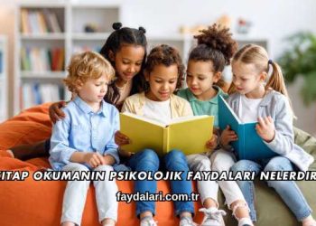 Kitap Okumanın Psikolojik Faydaları Nelerdir?