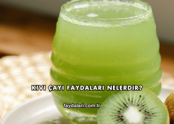 Kivi Çayı Faydaları Nelerdir?