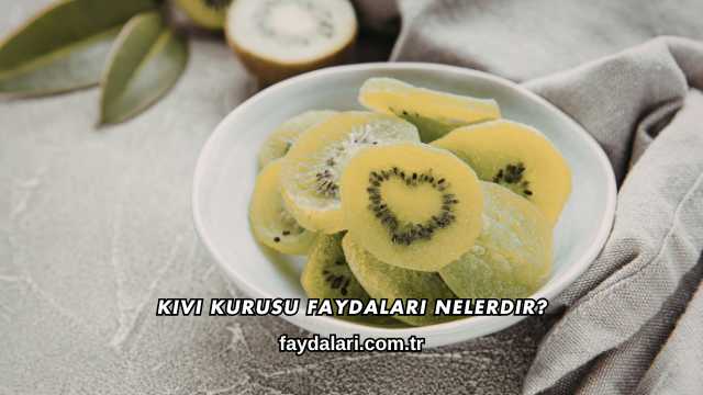 Kivi Kurusu Faydaları Nelerdir?
