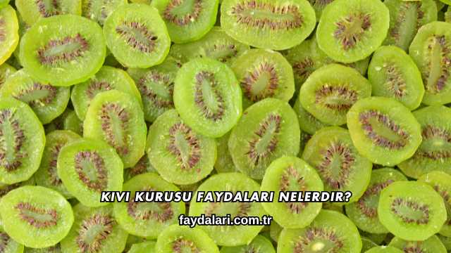 Kivi Kurusu Faydaları Nelerdir?