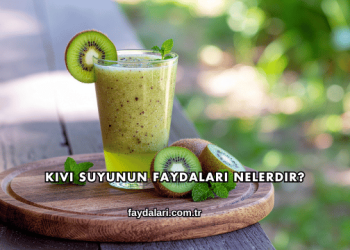 Kivi Suyunun Faydaları Nelerdir?